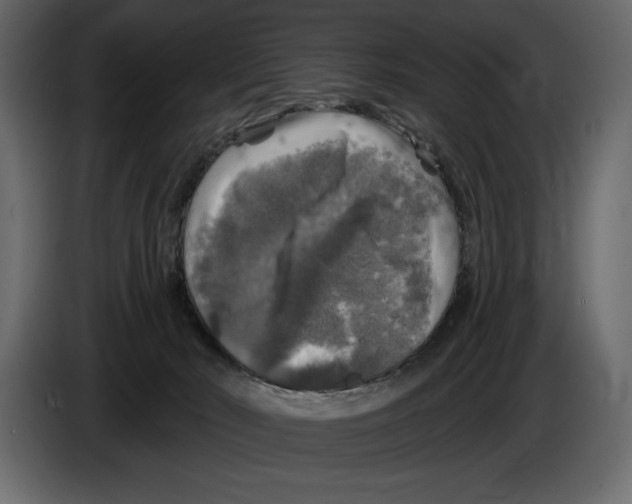 X0000084560030200703231809