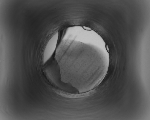 X0000084560031200703231809