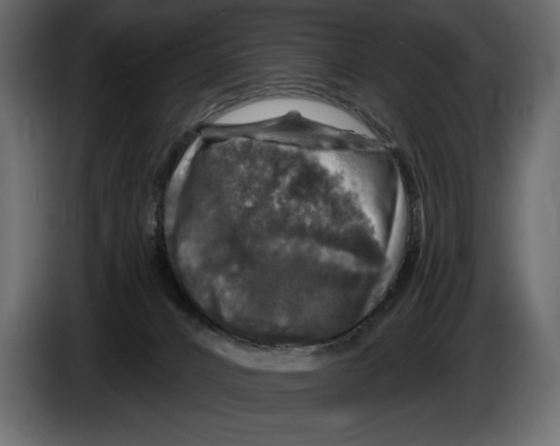 X0000084560032200703231809