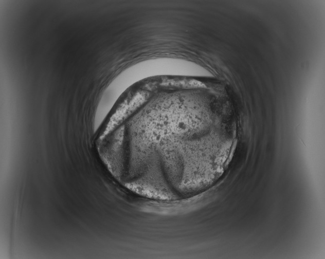 X0000084560033200703231809