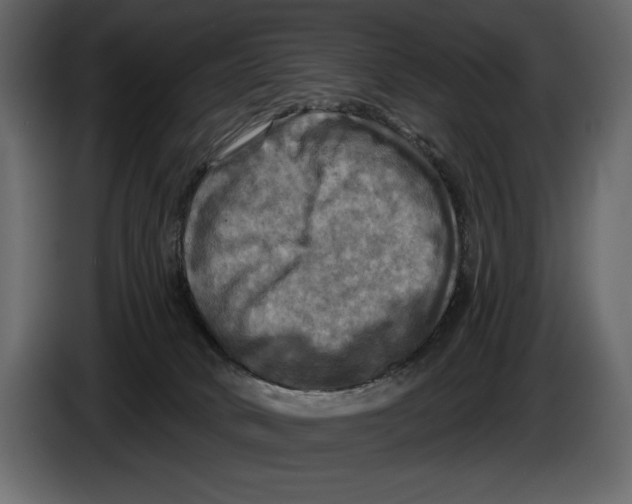 X0000084560034200703231809