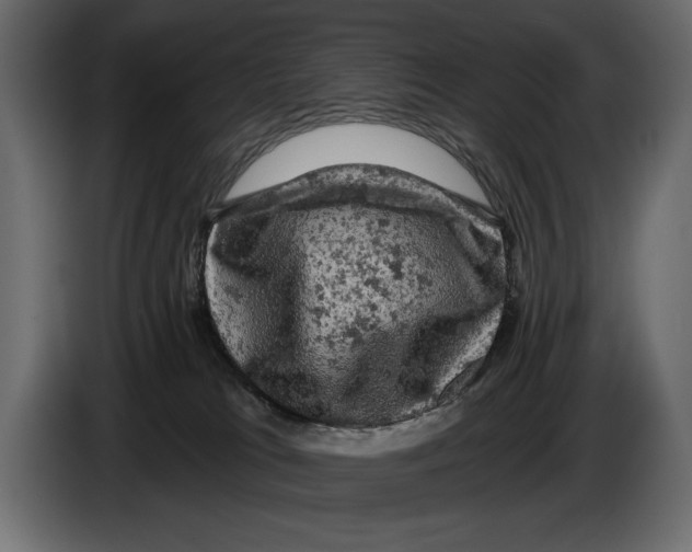 X0000084560037200703231809