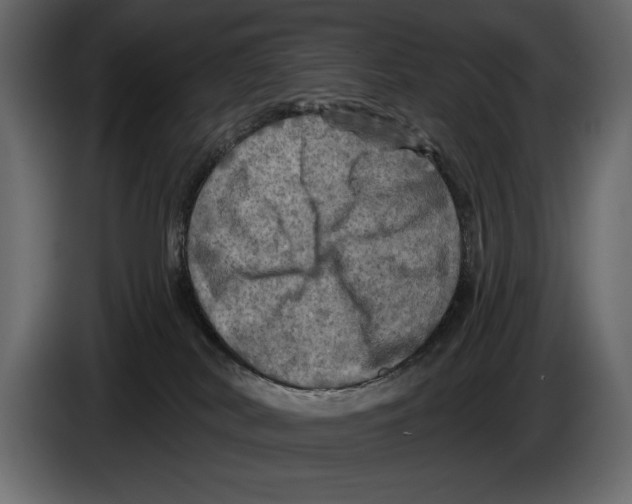 X0000084560038200703231809