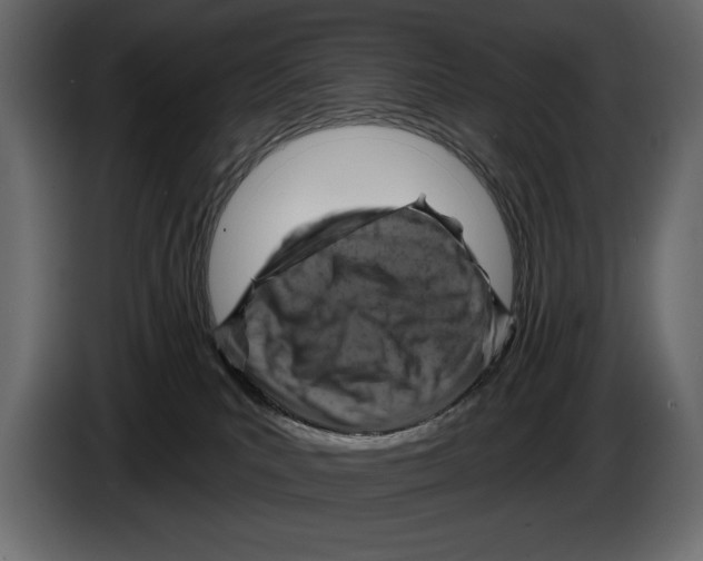 X0000084560039200703231809