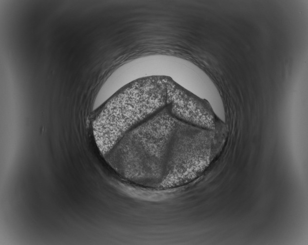 X0000084560040200703231809