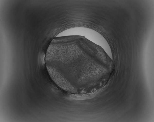 X0000084560041200703231809