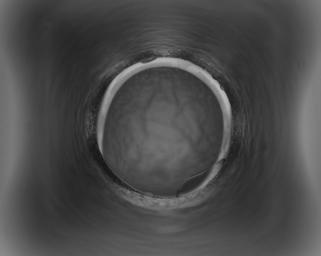 X0000084560043200703231809