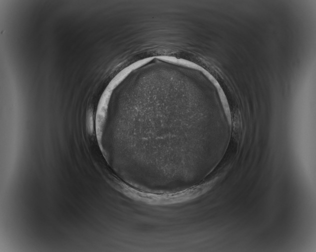 X0000084560046200703231809