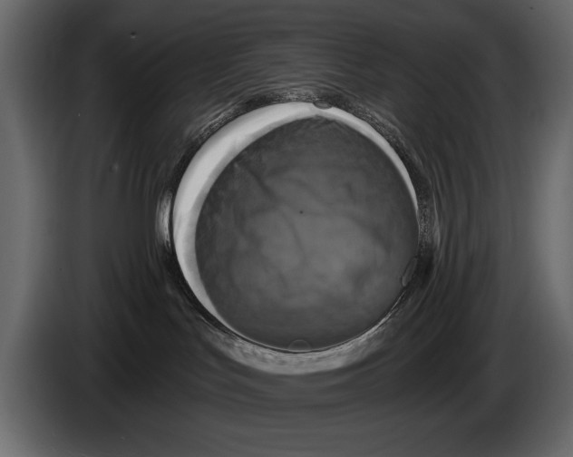 X0000084560047200703231809