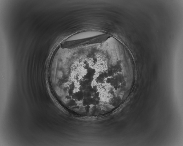 X0000084560049200703231808