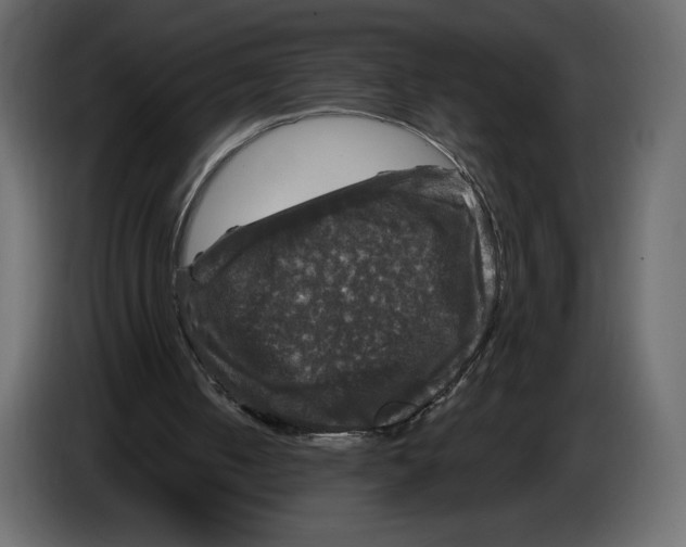 X0000084560050200703231808