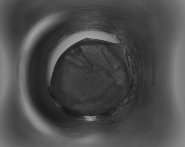 X0000084560052200703231808