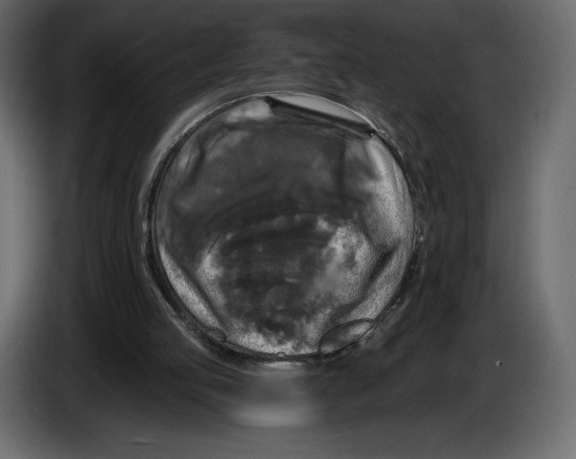 X0000084560053200703231808