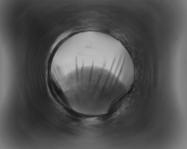 X0000084560054200703231808