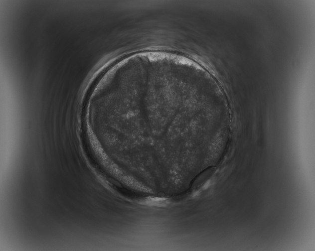 X0000084560055200703231808