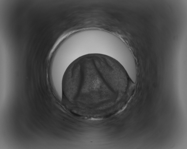 X0000084560056200703231808