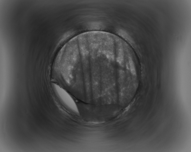 X0000084560058200703231808