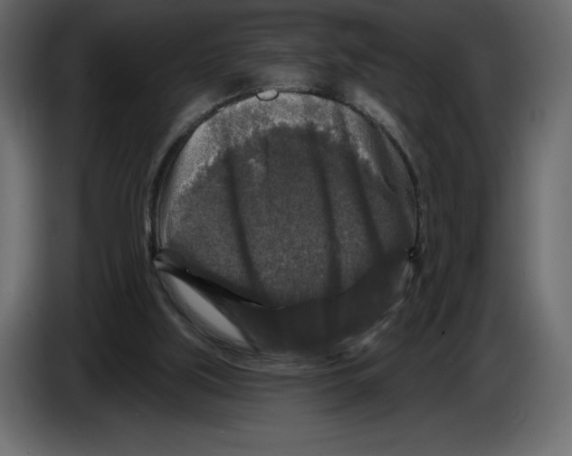 X0000084560059200703231808