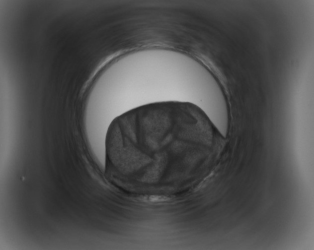 X0000084560060200703231808