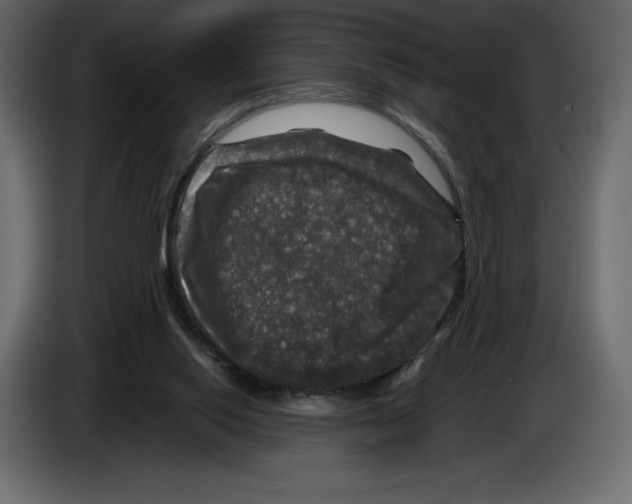 X0000084560062200703231808