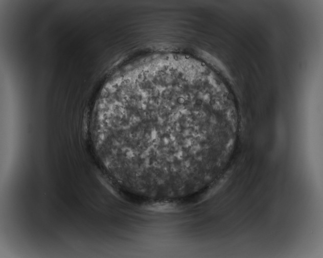 X0000084560065200703231808