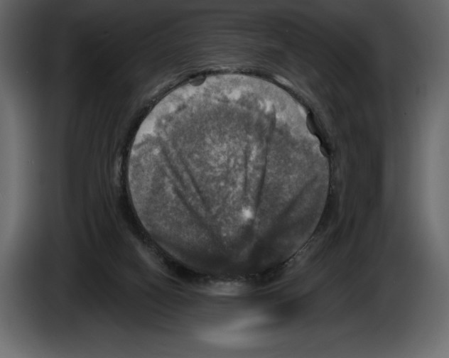 X0000084560066200703231808