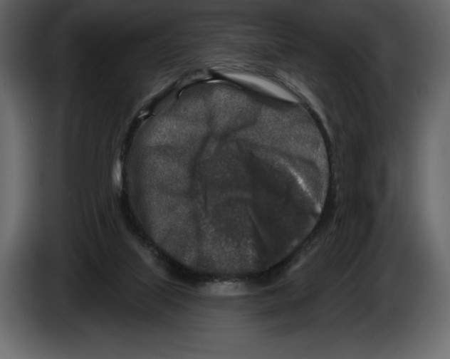 X0000084560067200703231808