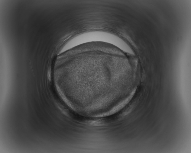 X0000084560068200703231808