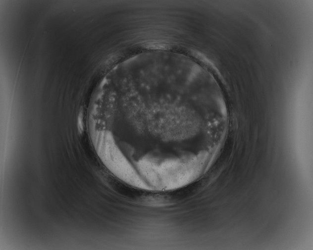 X0000084560069200703231808