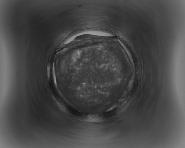 X0000084560070200703231808