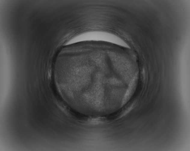 X0000084560072200703231808