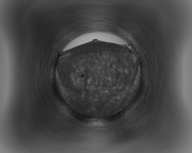 X0000084560073200703231808