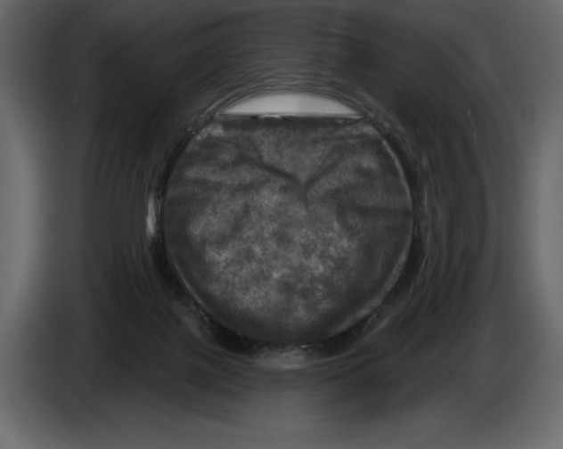 X0000084560075200703231808