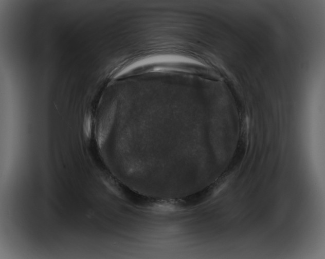 X0000084560076200703231808