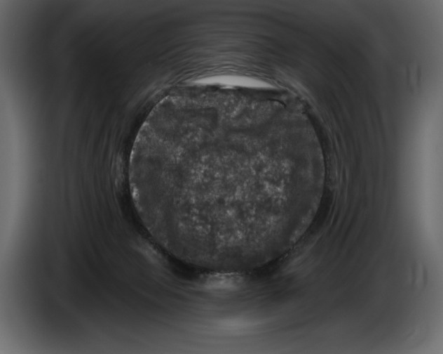 X0000084560077200703231808