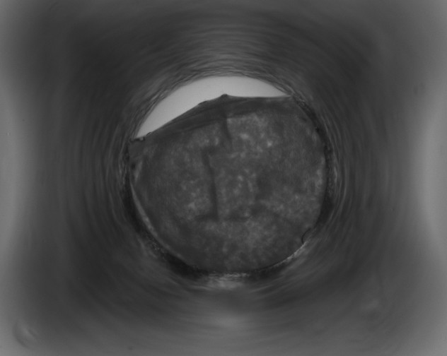 X0000084560078200703231808