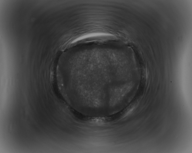 X0000084560080200703231808