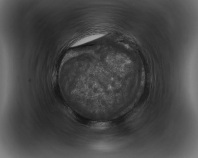 X0000084560081200703231808