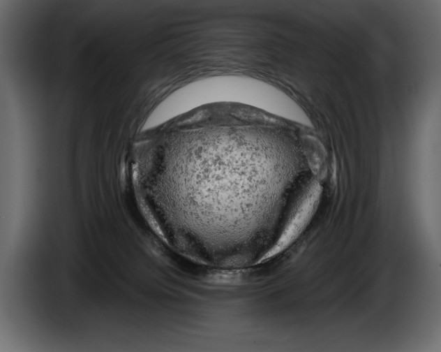 X0000084560084200703231808