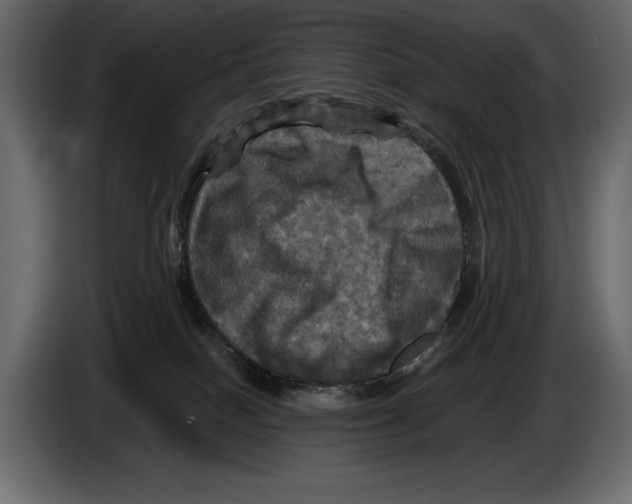 X0000084560086200703231808