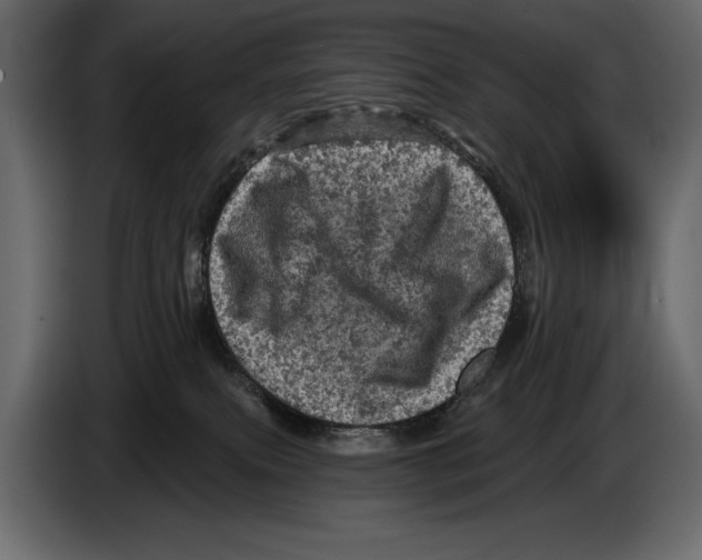 X0000084560087200703231808