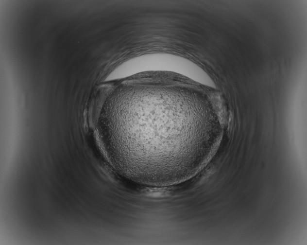 X0000084560088200703231809