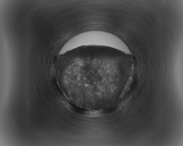 X0000084560093200703231809