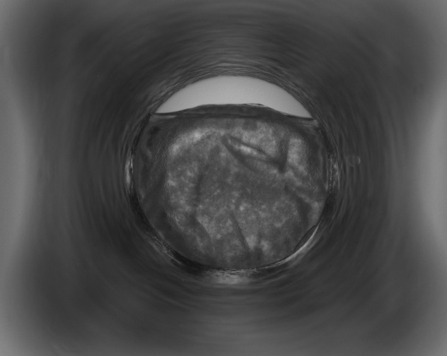 X0000084560094200703231809