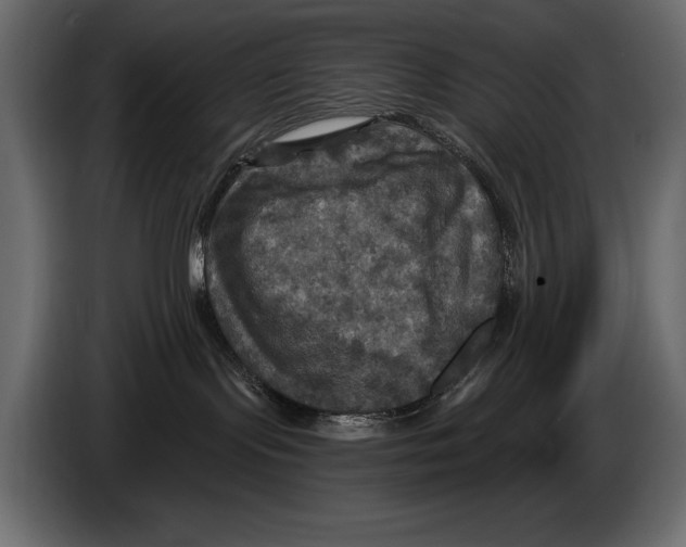 X0000084560095200703231809