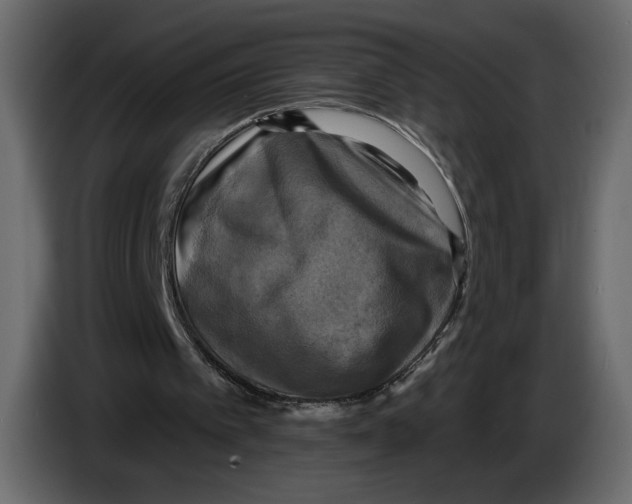 X0000084560097200703231808