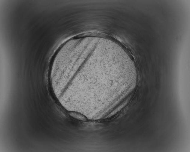 X0000084560098200703231808