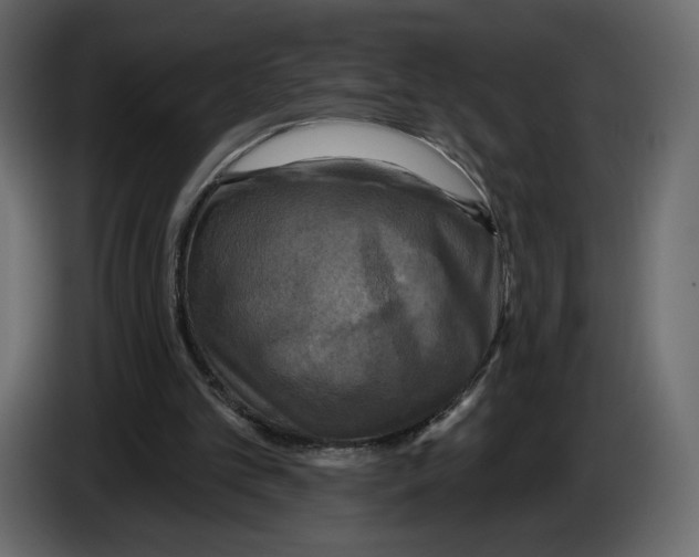 X0000084560101200703231808