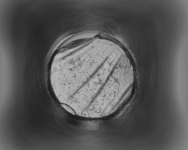 X0000084560103200703231808