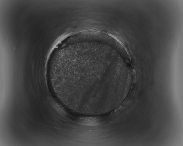 X0000084560104200703231808